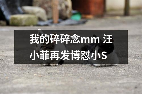 我的碎碎念mm 汪小菲再发博怼小S