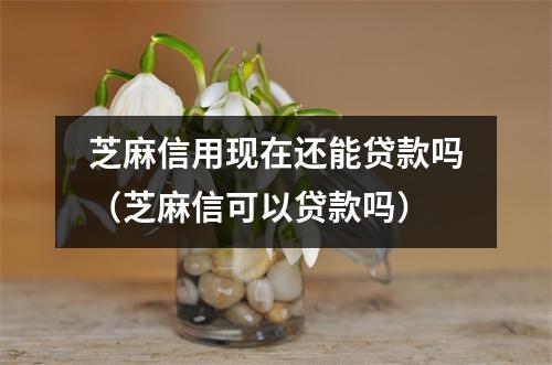 芝麻信用现在还能贷款吗（芝麻信可以贷款吗）