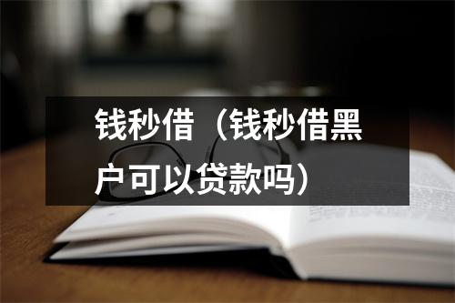 钱秒借（钱秒借黑户可以贷款吗）