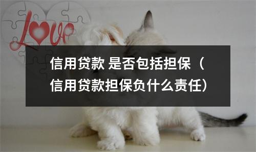 信用贷款 是否包括担保(信用贷款担保负什么责任)