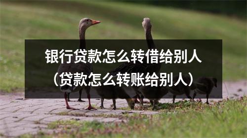 银行贷款怎么转借给别人（贷款怎么转账给别人）