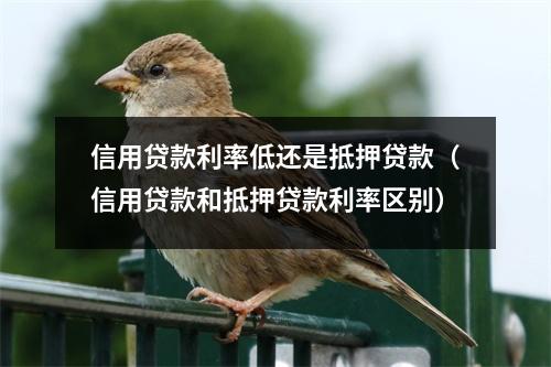 信用贷款利率低还是抵押贷款（信用贷款和抵押贷款利率区别）