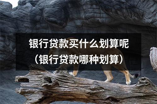 银行贷款买什么划算呢(银行贷款哪种划算)