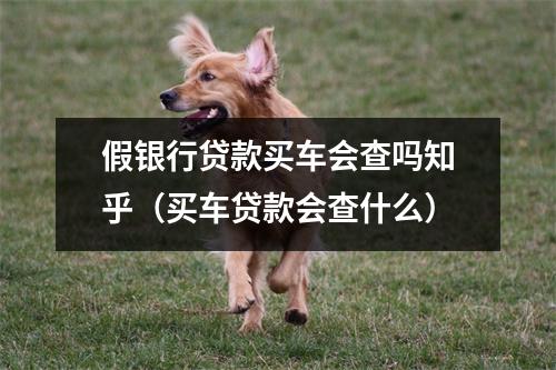 假银行贷款买车会查吗知乎（买车贷款会查什么）