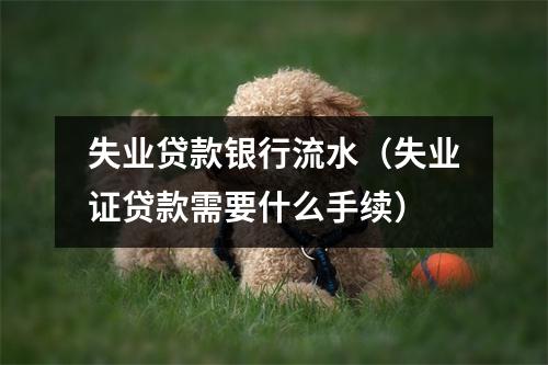 失业贷款银行流水（失业证贷款需要什么手续）