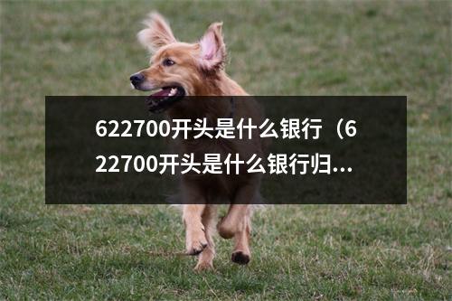 622700开头是什么银行（622700开头是什么银行归属地）
