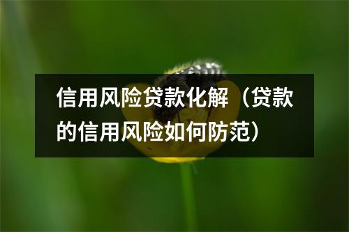 信用风险贷款化解（贷款的信用风险如何防范）