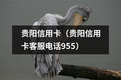 贵阳信用卡（贵阳信用卡客服电话955）
