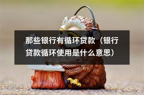 那些银行有循环贷款（银行贷款循环使用是什么意思）