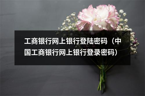 工商银行网上银行登陆密码（中国工商银行网上银行登录密码）