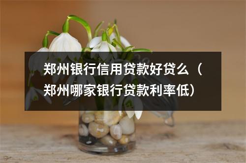 郑州银行信用贷款好贷么（郑州哪家银行贷款利率低）