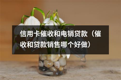 信用卡催收和电销贷款（催收和贷款销售哪个好做）