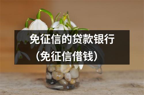 免征信的贷款银行（免征信借钱）