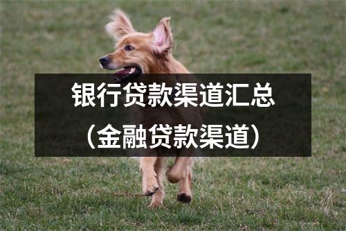 银行贷款渠道汇总（金融贷款渠道）