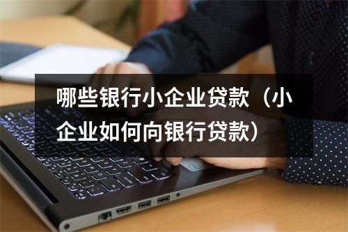 哪些银行小企业贷款（小企业如何向银行贷款）