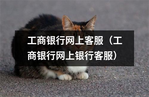 工商银行网上客服(工商银行网上银行客服)