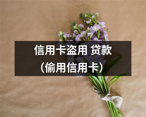信用卡盗用 贷款（偷用信用卡）