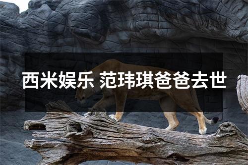 西米娱乐 范玮琪爸爸去世