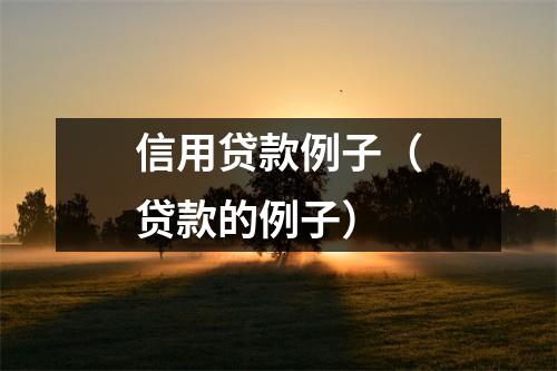 信用贷款例子（贷款的例子）