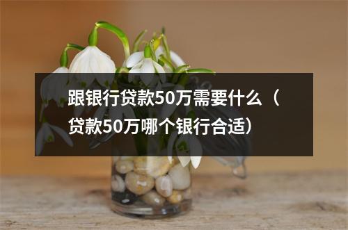 跟银行贷款50万需要什么（贷款50万哪个银行合适）