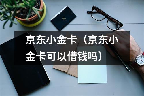 京东小金卡（京东小金卡可以借钱吗）