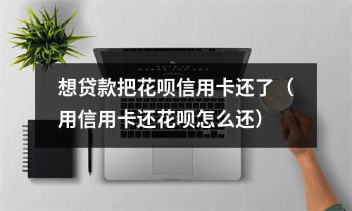 想贷款把花呗信用卡还了（用信用卡还花呗怎么还）