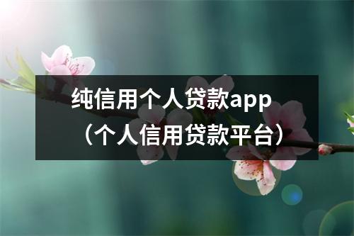 纯信用个人贷款app（个人信用贷款平台）