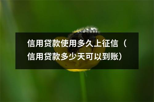 信用贷款使用多久上征信（信用贷款多少天可以到账）