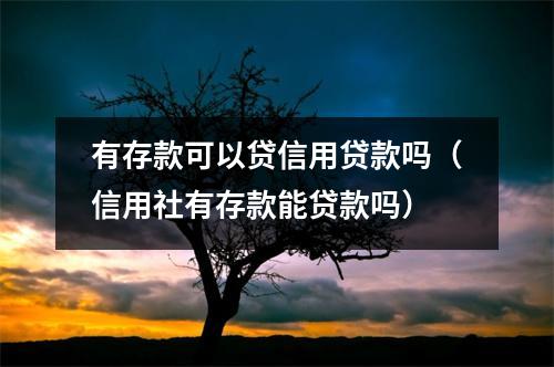 有存款可以贷信用贷款吗（信用社有存款能贷款吗）