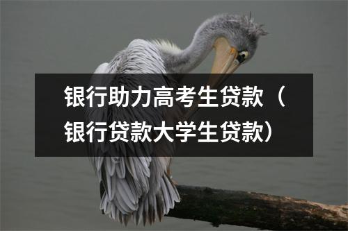 银行助力高考生贷款（银行贷款大学生贷款）