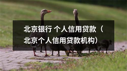 北京银行 个人信用贷款（北京个人信用贷款机构）