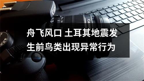舟飞风口 土耳其地震发生前鸟类出现异常行为