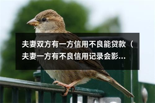 夫妻双方有一方信用不良能贷款（夫妻一方有不良信用记录会影响另一方贷款吗）