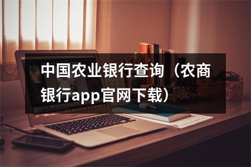 中国农业银行查询(农商银行app官网下载)