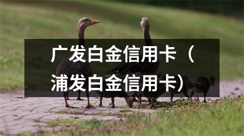 广发白金信用卡（浦发白金信用卡）