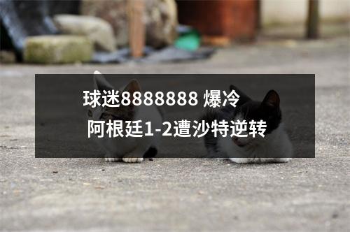 球迷8888888 爆冷 阿根廷1-2遭沙特逆转