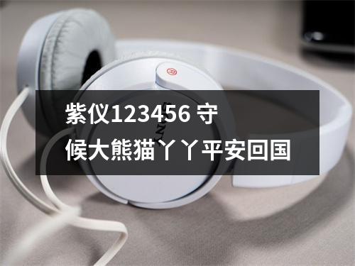 紫仪123456 守候大熊猫丫丫平安回国