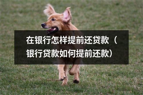 在银行怎样提前还贷款（银行贷款如何提前还款）