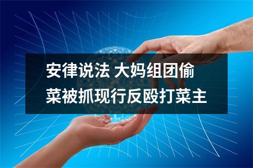 安律说法 大妈组团偷菜被抓现行反殴打菜主