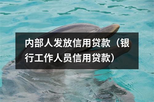 内部人发放信用贷款（银行工作人员信用贷款）