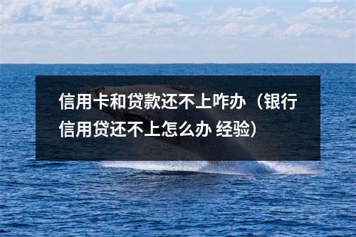 信用卡和贷款还不上咋办(银行信用贷还不上怎么办 经验)