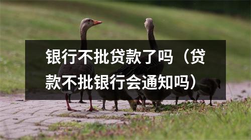 银行不批贷款了吗（贷款不批银行会通知吗）
