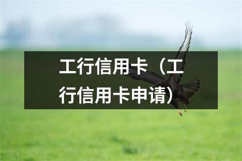工行信用卡(工行信用卡申请)