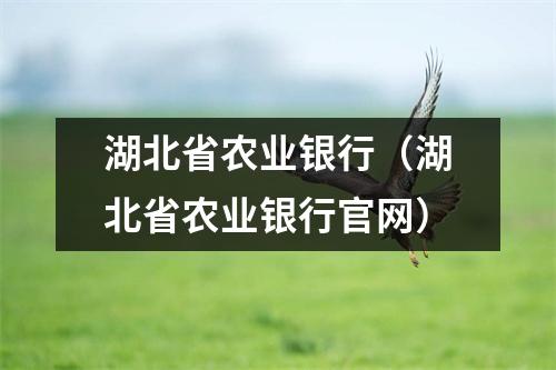 湖北省农业银行（湖北省农业银行官网）
