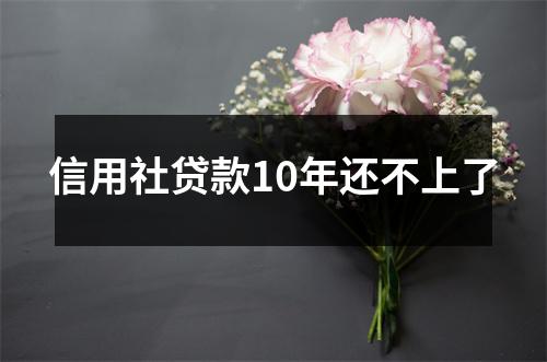 信用社贷款10年还不上了