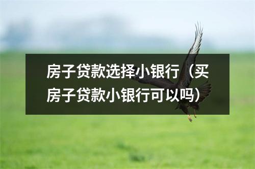房子贷款选择小银行（买房子贷款小银行可以吗）