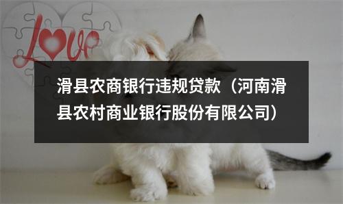 滑县农商银行违规贷款（河南滑县农村商业银行股份有限公司）