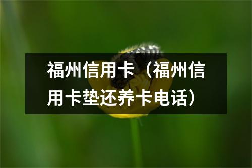 福州信用卡（福州信用卡垫还养卡电话）