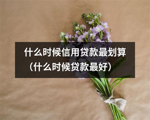 什么时候信用贷款最划算（什么时候贷款最好）