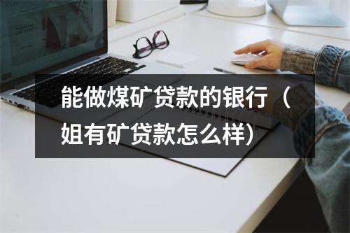 能做煤矿贷款的银行（姐有矿贷款怎么样）